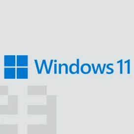 Microsoft Windows 11 50